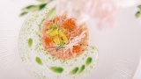 gallery New menu 4